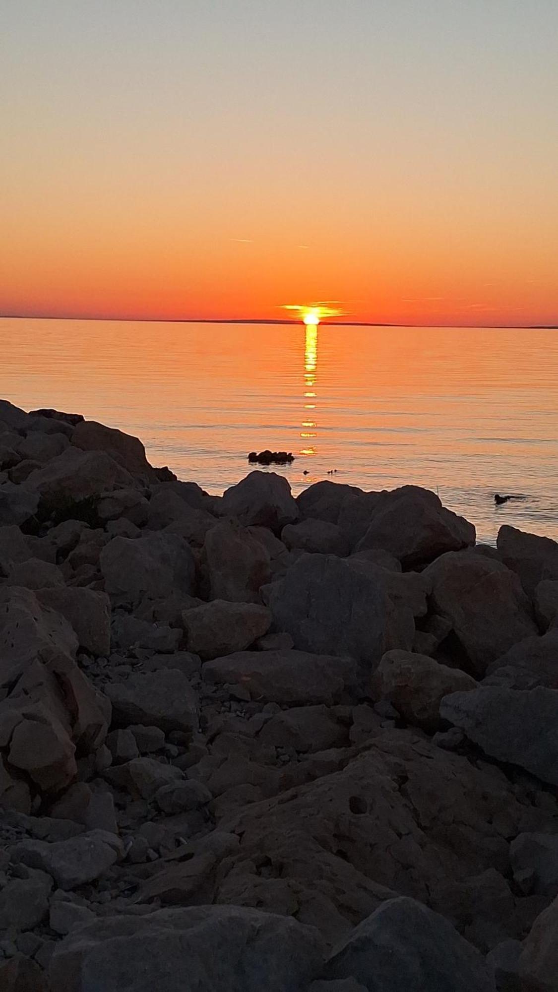 Apartmani Marijanovic Vir Buitenkant foto